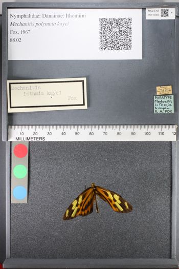 Media type: image;   Entomology 110365